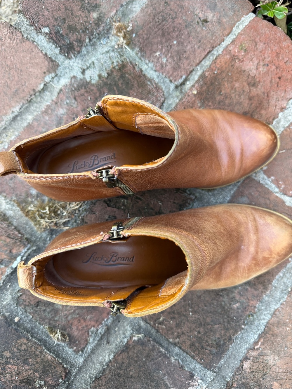 Lucky Brand Cognac Brown Leather Ankle Boot Size 7 - Picture 2 of 8